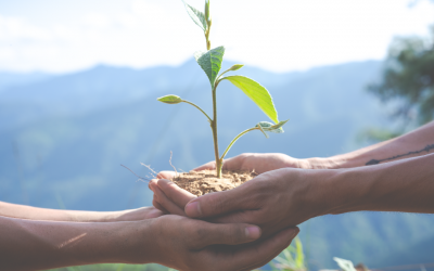 1º de noviembre: Día de la Ecología