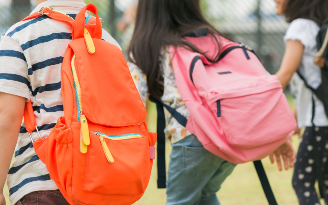 Vuelta a clases y reciclaje