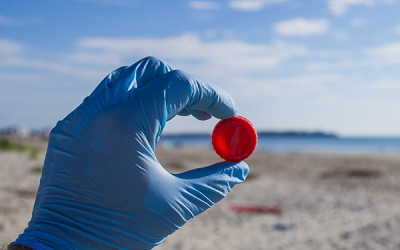 Cuidado de residuos en verano – SEMM