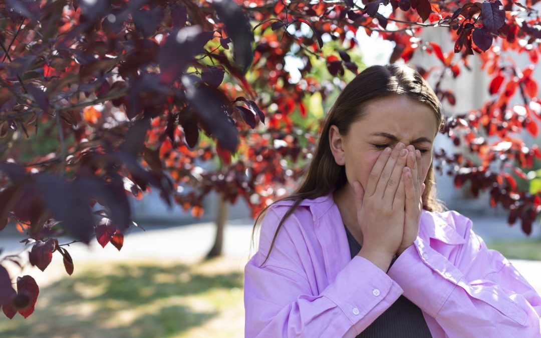 Primavera: temporada de alergias