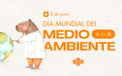 Día del Medio Ambiente